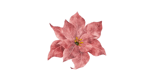 Torna alla partecipazione